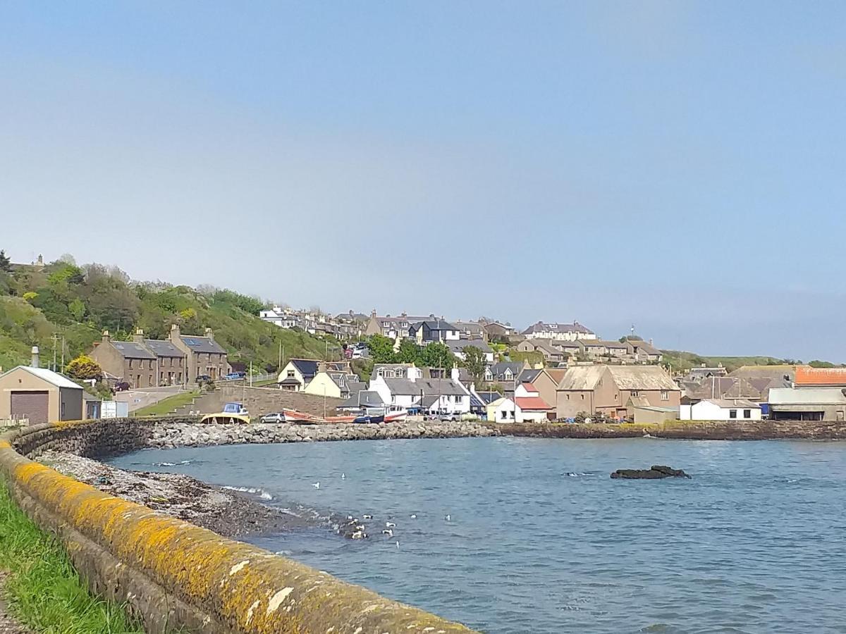 Coastal Cottage Inverbervie Экстерьер фото